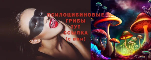 ешки Абинск