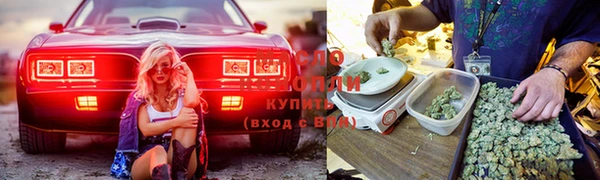 ешки Абинск
