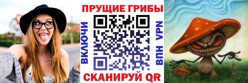 Галлюциногенные грибы GOLDEN TEACHER  наркота  Ханты-Мансийск 